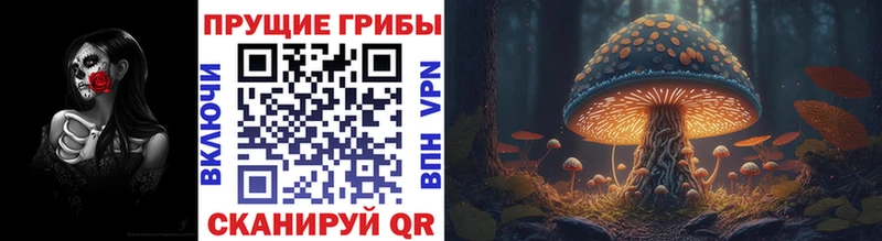 Псилоцибиновые грибы мухоморы  Баксан 